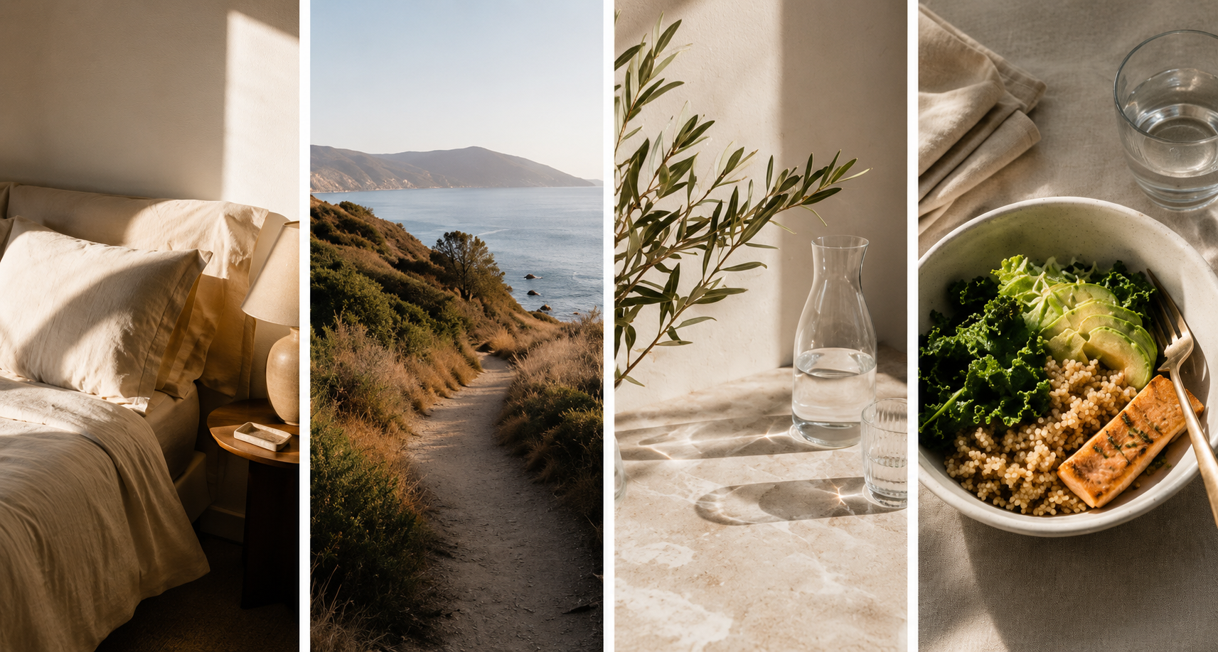 Wellness collage: restorative sleep, coastal path, olive branch with water, and a nourishing grain bowl